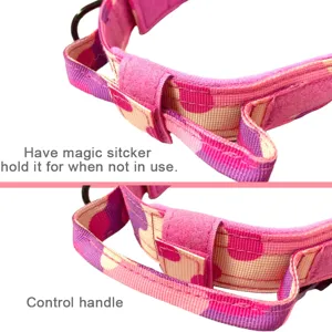 Detalle del collar táctico para perro mostrando el asa de control y la tira de velcro.