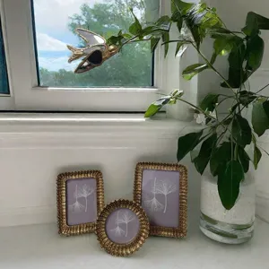 Vue détaillée de cadres photo dorés en résine de luxe sur bureau blanc avec plante verte.