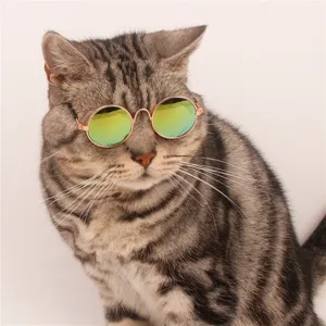 Close-up of a stylish cat wearing trendy round green reflective lens pet sunglasses.