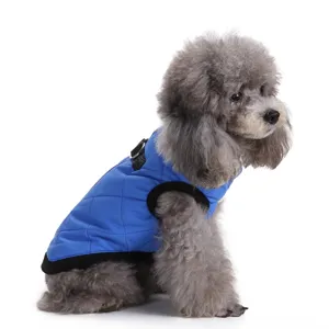 Detailed side view of a grey poodle wearing a warm blue quilted dog winter vest for outdoors