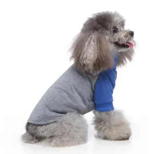 Detailansicht eines niedlichen Hundes im stylischen grau-blauen Rollkragen-Haustierpullover.