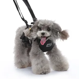 Vista dettagliata imbracatura cane nera, cinghie regolabili, fibbia nylon, supporto sollevamento.