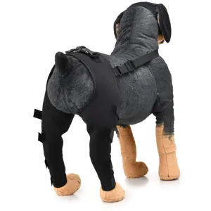 Dog leg brace for rear hock joint support, adjustable pet knee wrap for surgery recovery.