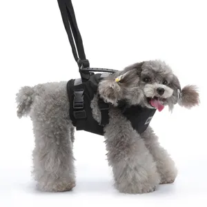 Set Pettorina e Guinzaglio per Cani in Nylon Multifunzione Regolabile Resistente Catarifrangente Traspirante con Maniglia di Controllo Comfort
