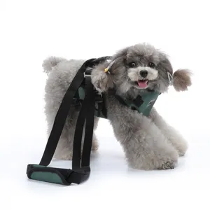 Imbracatura di supporto per cani anziani o feriti, comoda fascia di sollevamento.