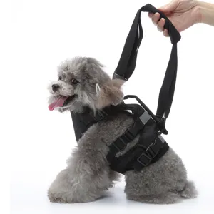 Dettaglio della comoda imbracatura di supporto per cani in nylon traspirante e regolabile.