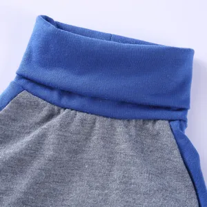 Nahaufnahme Detail des Haustier Hund Rollkragenpullover Kragen, bequeme Textilware.