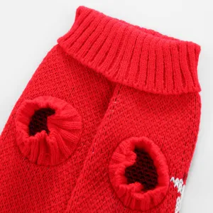 Détail pull chien tricot rouge, vêtements animaux hiver col roulé motif original.