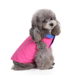 Close-up of a gray poodle wearing a pink pet winter jacket with blue collar detail