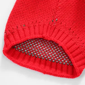 Gros plan détaillé d'un pull pour animal en tricot rouge avec texture douce et motif.
