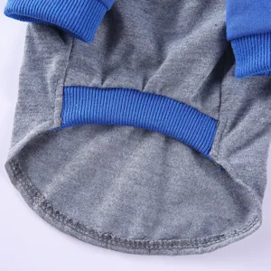 Nahaufnahme Detail des grauen Haustier-Pullovers mit blauem Rippkragen, bequeme Hundekleidung.