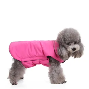 Detail view of a pink waterproof dog winter jacket on a grey poodle.
