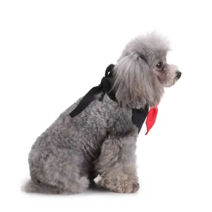 Gedetailleerde opname van een hond met een stijlvolle zwarte en rode stropdas voor feest.