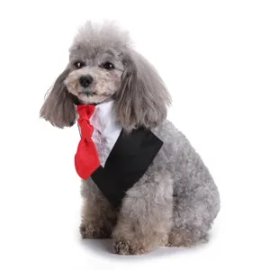 Schattige hond met elegant trouwpak en rode das als detailweergave voor feestelijke look.
