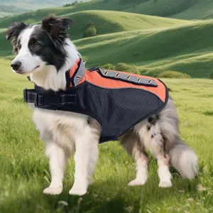 Durable anti-bite pet vest with metal spikes and breathable mesh for outdoor dog training.