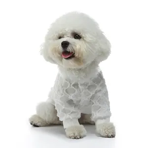 Dettaglio della camicia estiva in maglia bianca traspirante per cani piccoli su un Bichon Frisé