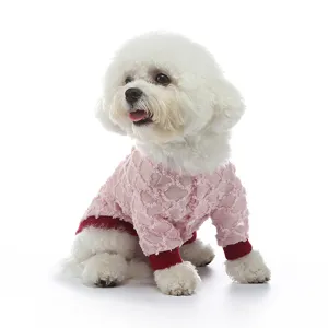Un Bichon bianco indossa una maglia rosa traforata con polsini a costine rossi.