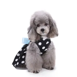 Nahaufnahme des süßen Hundes im stilvollen Sommerkleid mit Punkten und blauer Schleife.