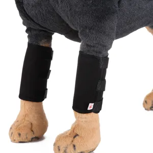 Close-up detail of dog leg protectors with adjustable straps for joint support