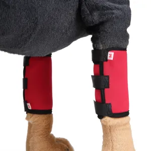 Close-up detail view of the red pet dog leg brace with adjustable hook and loop straps.