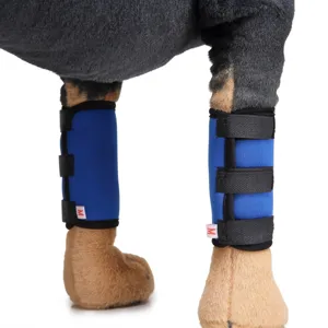 Close-up of blue dog leg brace with adjustable velcro straps for canine joint protection