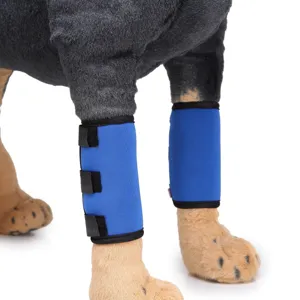 Professional blue dog leg protectors with adjustable velcro straps for joint support