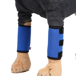 Close-up detail of blue dog leg braces for injury protection and joint support