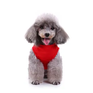 Gros plan détaillé d'un adorable caniche gris portant un gilet rouge uni confortable pour chien.