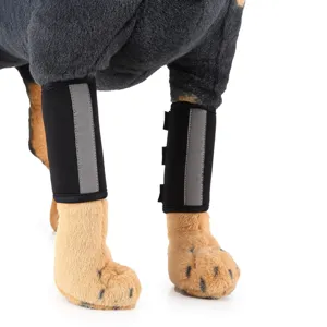 Close-up of black pet leg brace with reflective strip for dog joint injury support