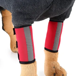 Close-up of red dog leg protectors with grey reflective strips on a white background.