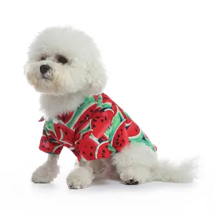 White fluffy dog wearing a vibrant watermelon print summer pet shirt on white background