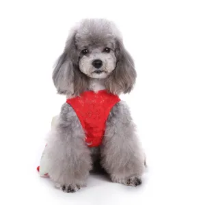 Rotes Haustier Sommerkleid Detail aus Spitze, süße Hundebekleidung mit feinem Stoff.