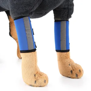 Detailed close-up view of a dog wearing blue protective leg braces with reflective strips.