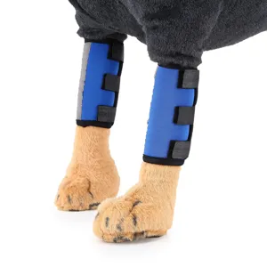 Detail view of blue dog leg protective braces with reflective straps on a pet model