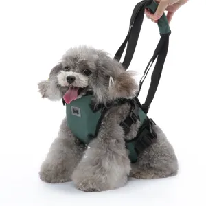 Durevole imbracatura di supporto verde per cani con cinghie regolabili per la mobilità.