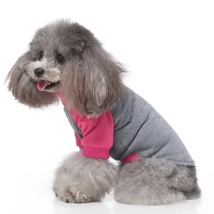 Detaillierte Nahaufnahme eines Hundes, der einen bequemen grau-rosa Hundepullover trägt.