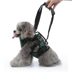 Vista dettagliata della imbracatura di sollevamento per cani con comoda maniglia e cinghie.