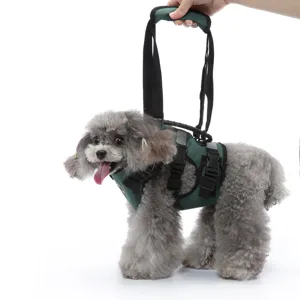 Dettaglio ravvicinato che mostra la imbracatura di sollevamento per cani e cinghie.