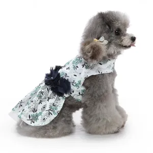 Robe de chien en dentelle florale chic avec fleur bleue, tenue de fête de princesse.