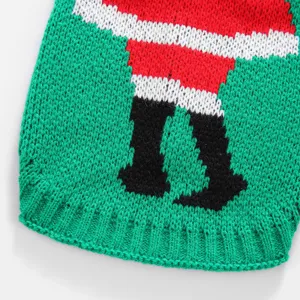 Vue rapprochée du pull pour animal de compagnie de Noël vert avec motif tricoté de père Noël mignon.