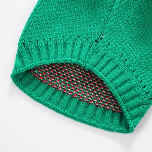 Vue détaillée d'un pull pour animal en tricot vert avec motif festif rouge et blanc.