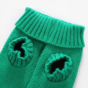 Gros plan sur les détails du pull pour animal en tricot vert, col haut et poignets côtelés.