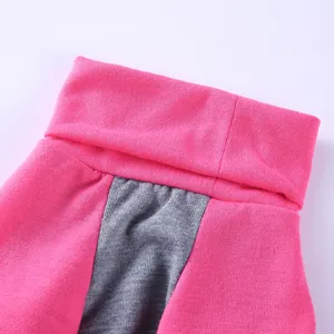 Hundekleidung Detailansicht, rosa hoher Kragen und modernes graues Strickgewebe Design.