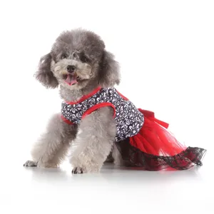 Detailed view of fashionable summer pet dog dress with black white print and red mesh skirt