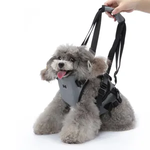 Imbracatura multifunzionale grigia per cani con cinghie regolabili per supporto mobilità.