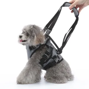 Dettaglio imbracatura di sollevamento per cani grigia, cinghie regolabili con maniglia.