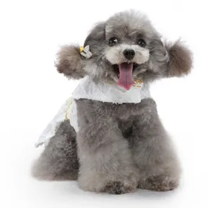 Jolie robe princesse pour chien en dentelle tenue de fête mariage petit animal détail