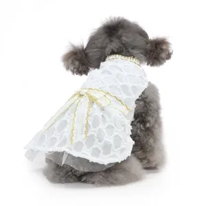 Élégante robe de princesse blanche pour chien avec bordure en dentelle dorée et joli nœud.