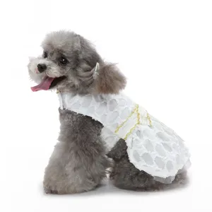 Jolie robe de princesse en dentelle blanche pour chien avec bordure dorée, nœud élégant de mariage.