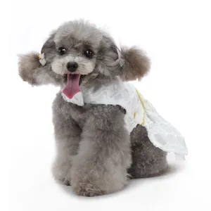 Vue détaillée d'un caniche gris portant une robe en dentelle blanche avec bordure dorée